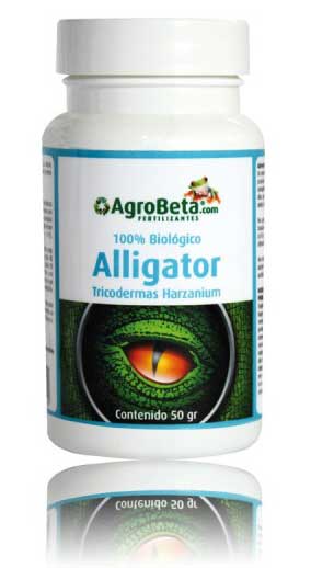 agrobeta-alligator