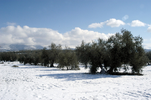 Imagenes Nevadas