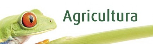 productos-agricolas