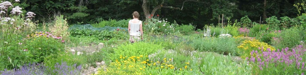 cropped-cara-in-garden1 (2)